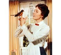 Julie Andrews [1063841] Foto 8x10 (Altre Dimensioni Disponibili)