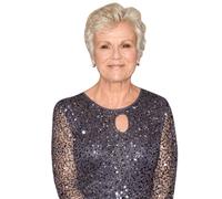 Julie Walters (Gown) Half Body Buddy Cutout