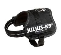 Julius K9 Giulio K9 Cablaggio Nero Baby2