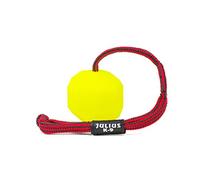 Julius-K9 242-BLL-60 Palla Fluorescente con Corda