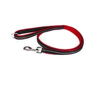 Julius-K9, Guinzaglio IDC Powair, Taglia: 1,2 m con maniglia e moschettone grande, Rosso