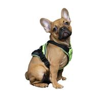 Julius K9 Imbracatura Idc Longwalk Neon M