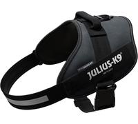 Julius K-9 Idc® Power Dog Harness Grigio 2XL-3