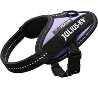 Julius K-9 Idc® Power Baby Dog Harness Viola Baby 2