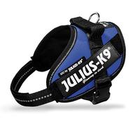 JULIUS K9 Pettorina Julius-K9 IDC Powerharness Blu XS