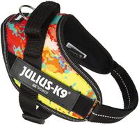 Julius K-9 Idc® Power Dog Harness Multicolor 2XL-3