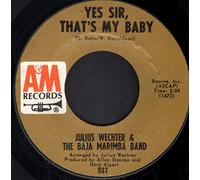 JULIUS WECHTER & BAJA MARIMBA BAND - brasilia / yes sir, that's my baby