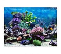 JULYKAI Immagini di Decorazioni per acquari, Adesivo in PVC per Acquario di Corallo subacqueo Acquario per Pesci Sfondo Poster Sfondo Decorazione Carta Effetto 3D Adesivo in PVC Poster(61 * 41cm)