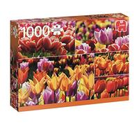 Jumbo 618364 - Puzzle Tulipani Olandesi