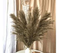 Jumbo Artificiale Pampas Erba Canna Soffice Fiore Mazzo Matrimonio Fai-da-Te