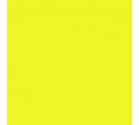 JUMBO FLUOR PAINT PITTURA VERNICE FLUORESCENTE SMALTO AL FLUORO KG 1 (10-13 MQ)