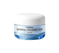 [Jumiso] Crema Ialuronica Waterfull 50ml