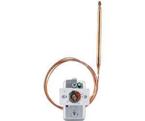 Jumo 60000924 Limitatore di temperatura da 0 a 150 °C