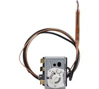 Jumo 60002995 Limitatore di temperatura