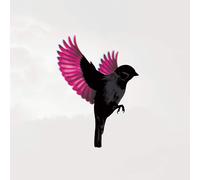 Jump Little Children Sparrow (CD)