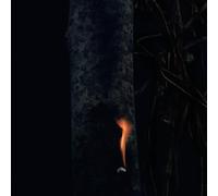 Jump Ship, Sit Lean, Be Still, Stand Tall