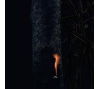 Jump Ship & Sit Lean & Be Still & Stand Tall - Bzdb (Vinile)