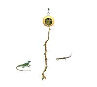 Jumping Spider Enclosure, Handmade Gourd Shaped Magnêtic Řeptile, Small Terrariuм With Extended Climbing Bar, For Jumping Spiders Geckos, Easy Install Pørtablê Habitat, Acrylic, 1 Piece