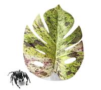 Jumping Spider Leaf - PP, Realistic Leaf Shape Decor ,Wear-Resistant Build | Versatile Installation ,Jumping Spider Accessories For Plants Terrarium Snake Grow Carpet Hermit Propagate Egg Pet Zoo Bird
