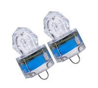 JUMPLAWN 2pezzi Lampada Subacquea LED per Pesca Notturna Luce Sommersa e Anti-Pressione per profondità Fino Attira Esche per Pesca in Mare Lago e Fiume Colore Casuale