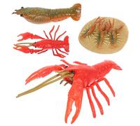 JUMPLAWN 4pezzi Educativo Di Evoluzione Degli Animali Plastica Da Figurine Di Granchio Per Apprendimento Cognitivo e Decorazione Per Ragazzo Ragazza