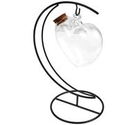 JUMPLAWN Bottiglia di Vetro Trasparente per Paesaggio Supporto in Ferro e Tappo in Legno, Barattolo dei Desideri Decorativo da Appendere, Contenitore Multiuso per Ornamenti Casa e