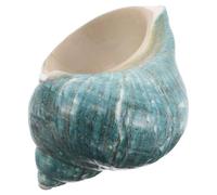 JUMPLAWN Conchiglie Grandi Naturali per Decorazioni Nautiche e Artigianato Fai-da-te, Perfette per Arredamento a Tema Oceano e Collezione di Conchiglie da Spiaggia