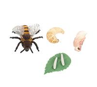 JUMPLAWN Modelli Di Api Mellifere in Plastica Per Attività Didattica Simulazione Ciclo Di Crescita Delle Api in Miniatura Giocattoli Educativi Per Ragazzo Ragazza Ragazza e Decorazioni