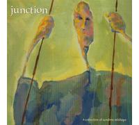 Junction - Collection of Random Mishaps