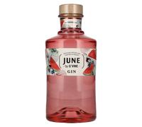 JUNE by G'Vine Gin Watermelon 37,5% Vol. 0,7l