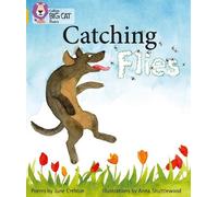 June Crebbin Catching Flies (Tascabile) Collins Big Cat