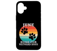 June Home For Wayward Dogs Cognome Custodia per iPhone 16 Plus