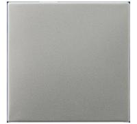 Jung 1 parte Placca di copertura Commutatore, Pulsanti acciaio inox ES2990 1