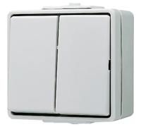 Jung 605W Completo Interruttore doppio WG 600 Grigio 1 pz.