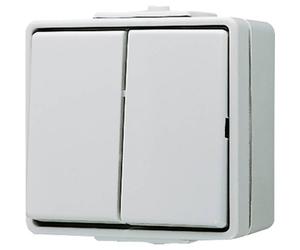 Jung 605W Completo Interruttore doppio WG 600 Grigio 1 pz.