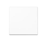 JUNG A1700WW - Plastic - Screwless - 1 pc(s)