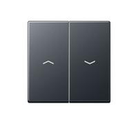 JUNG A595BFPANM A 595 BF P ANM - Black