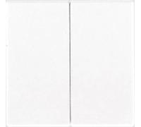 Jung LS995, Bilanciere per interruttore a due circuiti