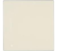Jung Placca di copertura Coperchio cieco LS 990, LS design, LS plus Bianco