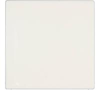 Jung Placca di copertura Coperchio cieco LS 990, LS design, LS plus Bianco