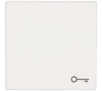 Jung Placca di copertura Pulsante con simbolo chiave LS 990, LS design, LS plus