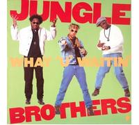 JUNGLE BROTHERS / WHAT YOU WAITING FOR