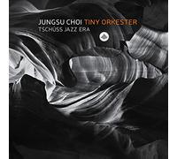 Jungsu Choi Tiny Orkester Tschuss Jazz Era (CD) Album