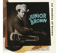 Junior Brown, Brown, Junior - 12 Shades Of Brown by Junior Brown, Brown, Junior (2011) Audio CD