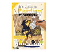Junior piccolo Paint di numero Kit 8-3/4 "X 11-3/4"-bassotto cucciolo