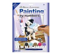Junior Small Paint By Number Kit 8-3/4" X 11-3/4"-The Mail Menace