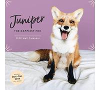 Juniper the Happiest Fox 2020 Calendar: (Animal Calendar 2020, 2020 Office Wall Calendar, Fox Gifts for Women and Men)