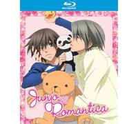 Junjo Romantica: Season 1