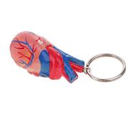 JunZheHub 2 Pezzi Portachiavi Cuore Umano Modello Mini Modello Educativo Miniatura PVC Adatto per Studenti Regalo Oggetto Didattico Decorazione Casa, Come mostrano Le Immagini