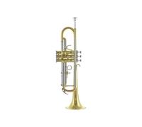 Jupiter JTR701Q Bb- Trumpet